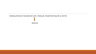 MODULATION OF SOUND BY LIPS, TONGUE, PHARYNX PALATE & TEETH
SPEECH
 
