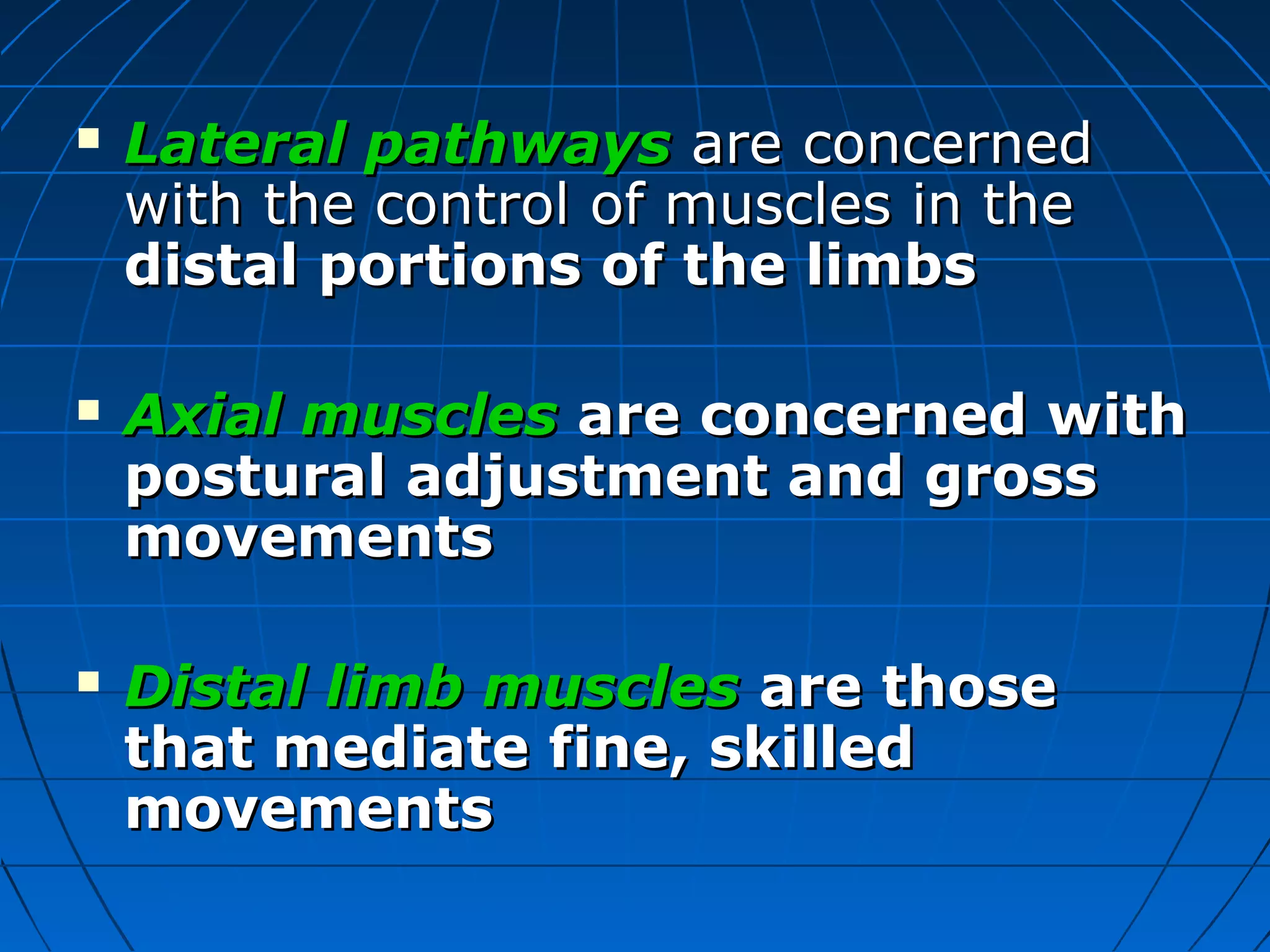 Physiology of posture movementand equilibrium | PPT