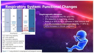 Physiology of pregnancy. cardiovascular, respiratory and hematology | PPTX