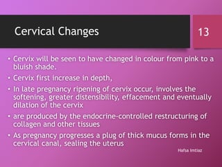 The Physical And Physiological Changes Of Pregnancy | PPTX