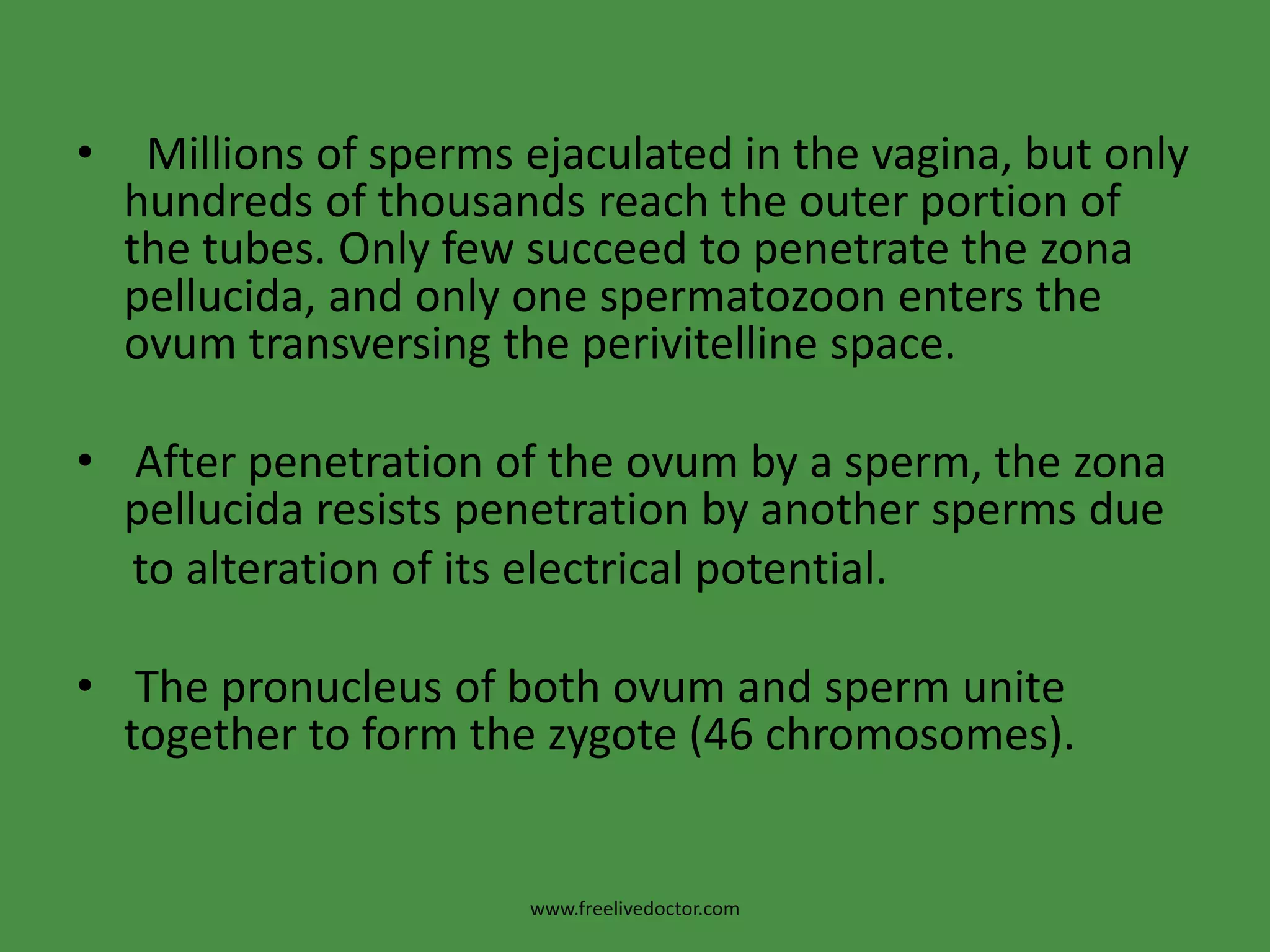   Millions of sperms ejaculated in the vagina, but only hundreds of thousands reach the outer portion of the tubes. Only few succeed to penetrate the zonapellucida, and only one spermatozoon enters the ovum transversing the perivitelline space. After penetration of the ovum by a sperm, the zonapellucida resists penetration by another sperms due    to alteration of its electrical potential. The pronucleus of both ovum and sperm unite together to form the zygote (46 chromosomes).www.freelivedoctor.com