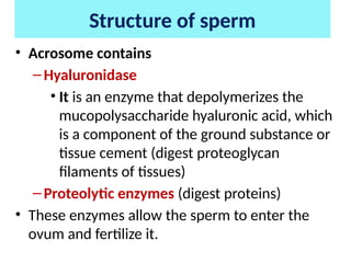 Msle and female physiology of reproduction | PPTX