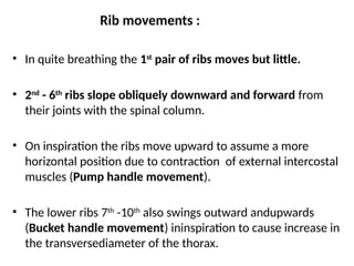 Outward Ribs Physiology of respiartory system (2).pptx