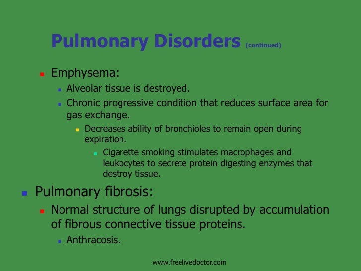 Physiology Of Respiration