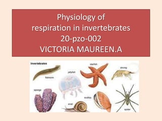 Physiology of
respiration in invertebrates
20-pzo-002
VICTORIA MAUREEN.A
 