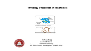 Physiology of respiration in Non chordate
Dr. Sonia Bajaj
Assistant Professor
Department of Zoology
Shri Shankaracharya Mahavidyalaya ,Junwani ,Bhilai
 