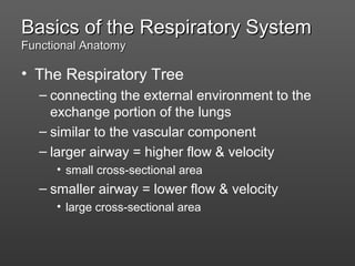 Resp Tree Physiology of respiratory system | PPT
