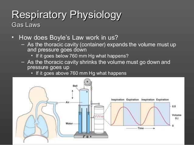 Physiology of respiratory system