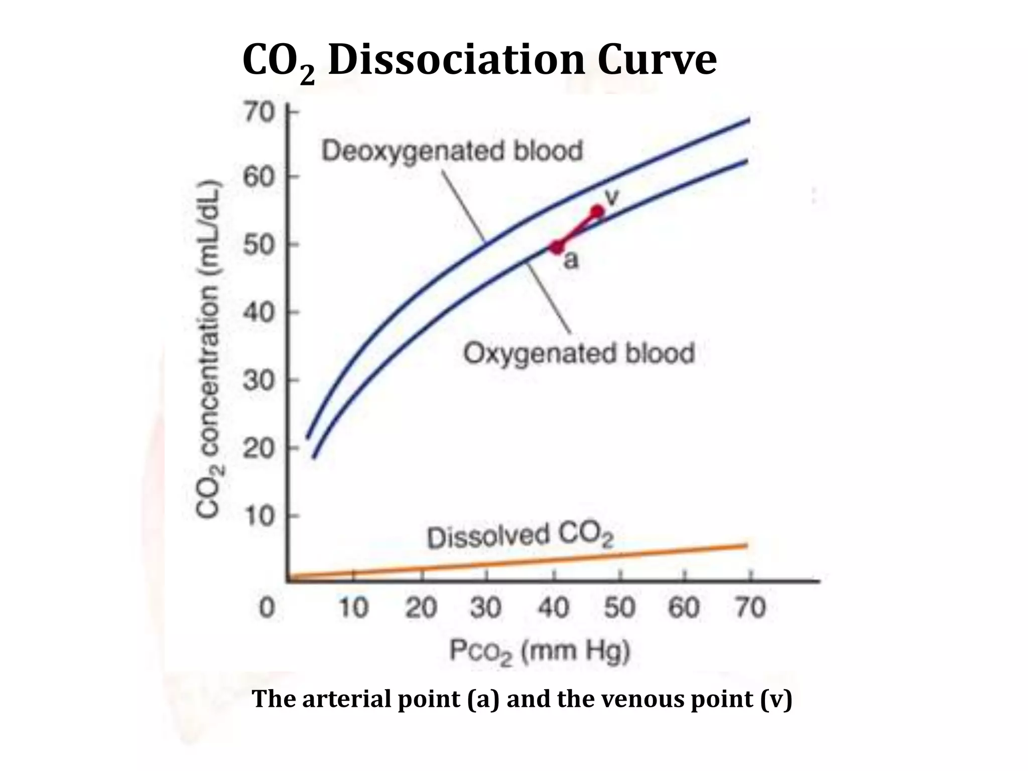 CO2 Dissociation Curve
The arterial point (a) and the venous point (v)
 