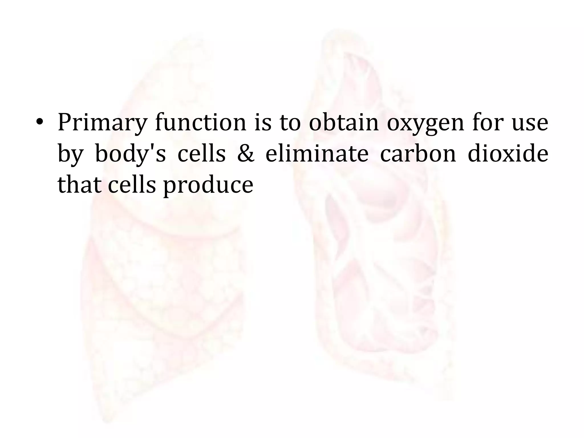 • Primary function is to obtain oxygen for use
by body's cells & eliminate carbon dioxide
that cells produce
 