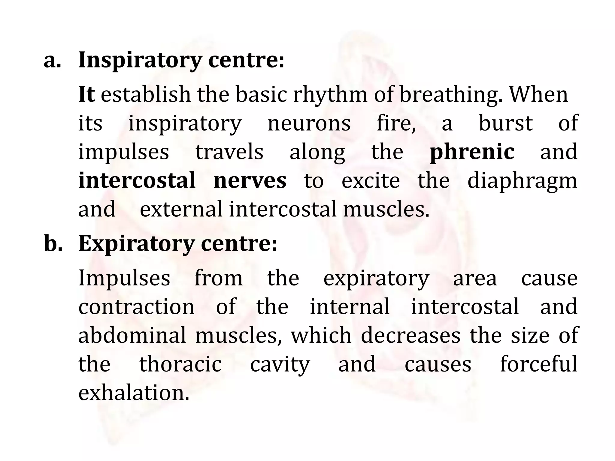 a. Inspiratory centre:
It establish the basic rhythm of breathing. When
its inspiratory neurons fire, a burst of
impulses travels along the phrenic and
intercostal nerves to excite the diaphragm
and external intercostal muscles.
b. Expiratory centre:
Impulses from the expiratory area cause
contraction of the internal intercostal and
abdominal muscles, which decreases the size of
the thoracic cavity and causes forceful
exhalation.
 