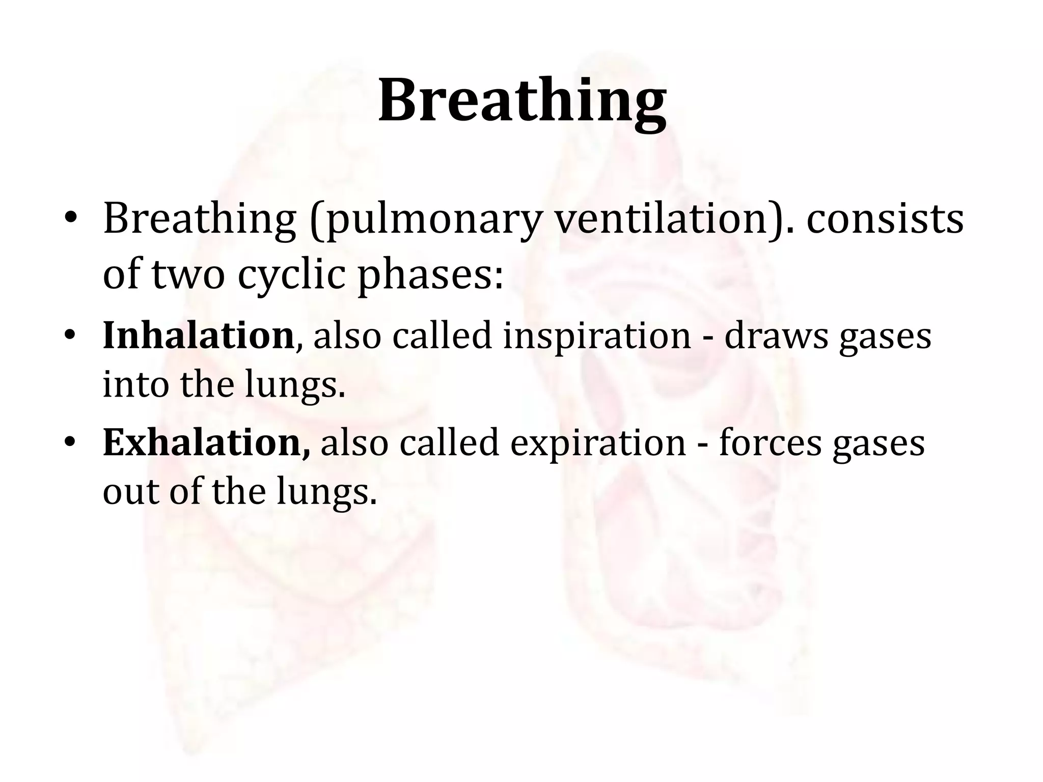 Breathing
• Breathing (pulmonary ventilation). consists
of two cyclic phases:
• Inhalation, also called inspiration - draws gases
into the lungs.
• Exhalation, also called expiration - forces gases
out of the lungs.
 