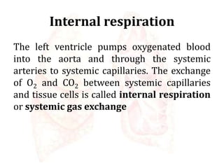 Internal respiration
The left ventricle pumps oxygenated blood
into the aorta and through the systemic
arteries to systemic capillaries. The exchange
of O2 and CO2 between systemic capillaries
and tissue cells is called internal respiration
or systemic gas exchange
 