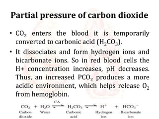 Partial pressure of carbon dioxide
• CO2 enters the blood it is temporarily
converted to carbonic acid (H2CO3).
• It dissociates and form hydrogen ions and
bicarbonate ions. So in red blood cells the
H+ concentration increases, pH decreases.
Thus, an increased PCO2 produces a more
acidic environment, which helps release O2
from hemoglobin.
 
