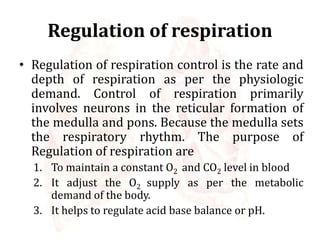 Regulation of respiration
• Regulation of respiration control is the rate and
depth of respiration as per the physiologic
demand. Control of respiration primarily
involves neurons in the reticular formation of
the medulla and pons. Because the medulla sets
the respiratory rhythm. The purpose of
Regulation of respiration are
1. To maintain a constant O2 and CO2 level in blood
2. It adjust the O2 supply as per the metabolic
demand of the body.
3. It helps to regulate acid base balance or pH.
 
