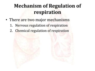 Mechanism of Regulation of
respiration
• There are two major mechanisms
1. Nervous regulation of respiration
2. Chemical regulation of respiration
 