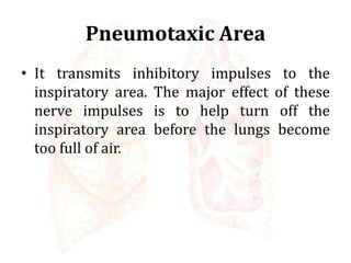 Pneumotaxic Area
• It transmits inhibitory impulses to the
inspiratory area. The major effect of these
nerve impulses is to help turn off the
inspiratory area before the lungs become
too full of air.
 
