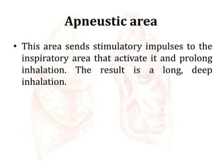 Apneustic area
• This area sends stimulatory impulses to the
inspiratory area that activate it and prolong
inhalation. The result is a long, deep
inhalation.
 
