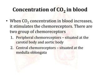 Concentration of CO2 in blood
• When CO2 concentration in blood increases,
it stimulates the chemoreceptors. There are
two group of chemoreceptors
1. Peripheral chemoreceptors – situated at the
carotid body and aortic body
2. Central chemoreceptors – situated at the
medulla oblongata
 