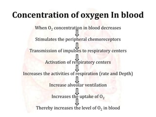 Concentration of oxygen In blood
When O2 concentration in blood decreases
Stimulates the peripheral chemoreceptors
Transmission of impulses to respiratory centers
Activation of respiratory centers
Increases the activities of respiration (rate and Depth)
Increase alveolar ventilation
Increases the uptake of O2
Thereby increases the level of O2 in blood
 
