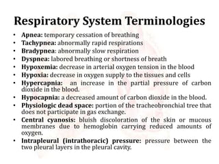 Respiratory System Terminologies
• Apnea: temporary cessation of breathing
• Tachypnea: abnormally rapid respirations
• Bradypnea: abnormally slow respiration
• Dyspnea: labored breathing or shortness of breath
• Hypoxemia: decrease in arterial oxygen tension in the blood
• Hypoxia: decrease in oxygen supply to the tissues and cells
• Hypercapnia: an increase in the partial pressure of carbon
dioxide in the blood.
• Hypocapnia: a decreased amount of carbon dioxide in the blood.
• Physiologic dead space: portion of the tracheobronchial tree that
does not participate in gas exchange.
• Central cyanosis: bluish discoloration of the skin or mucous
membranes due to hemoglobin carrying reduced amounts of
oxygen.
• Intrapleural (intrathoracic) pressure: pressure between the
two pleural layers in the pleural cavity.
 