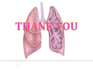 Respiratory System - Physiology