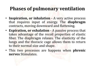 Phases of pulmonary ventilation
• Inspiration, or inhalation - A very active process
that requires input of energy. The diaphragm
contracts, moving downward and flattening.
• Expiration, or exhalation - A passive process that
takes advantage of the recoil properties of elastic
fiber. The diaphragm relaxes. The elasticity of the
lungs and the thoracic cage allows them to return
to their normal size and shape.
• This two processes are happens when phrenic
nerves Stimulates.
 
