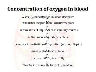physiologyofrespiratorysystem-160906102826 (1).pptx