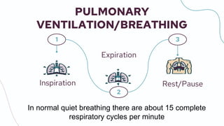 Physiology of Respiratory System.pptx