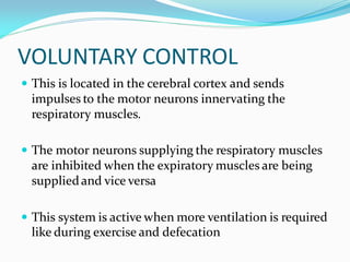 Physiology of Respiratory System | PDF