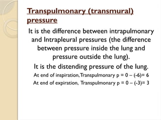 Physiology of Respiratory system power point.pptx
