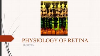 PHYSIOLOGY OF RETINA
DR. SHIVRAJ
 