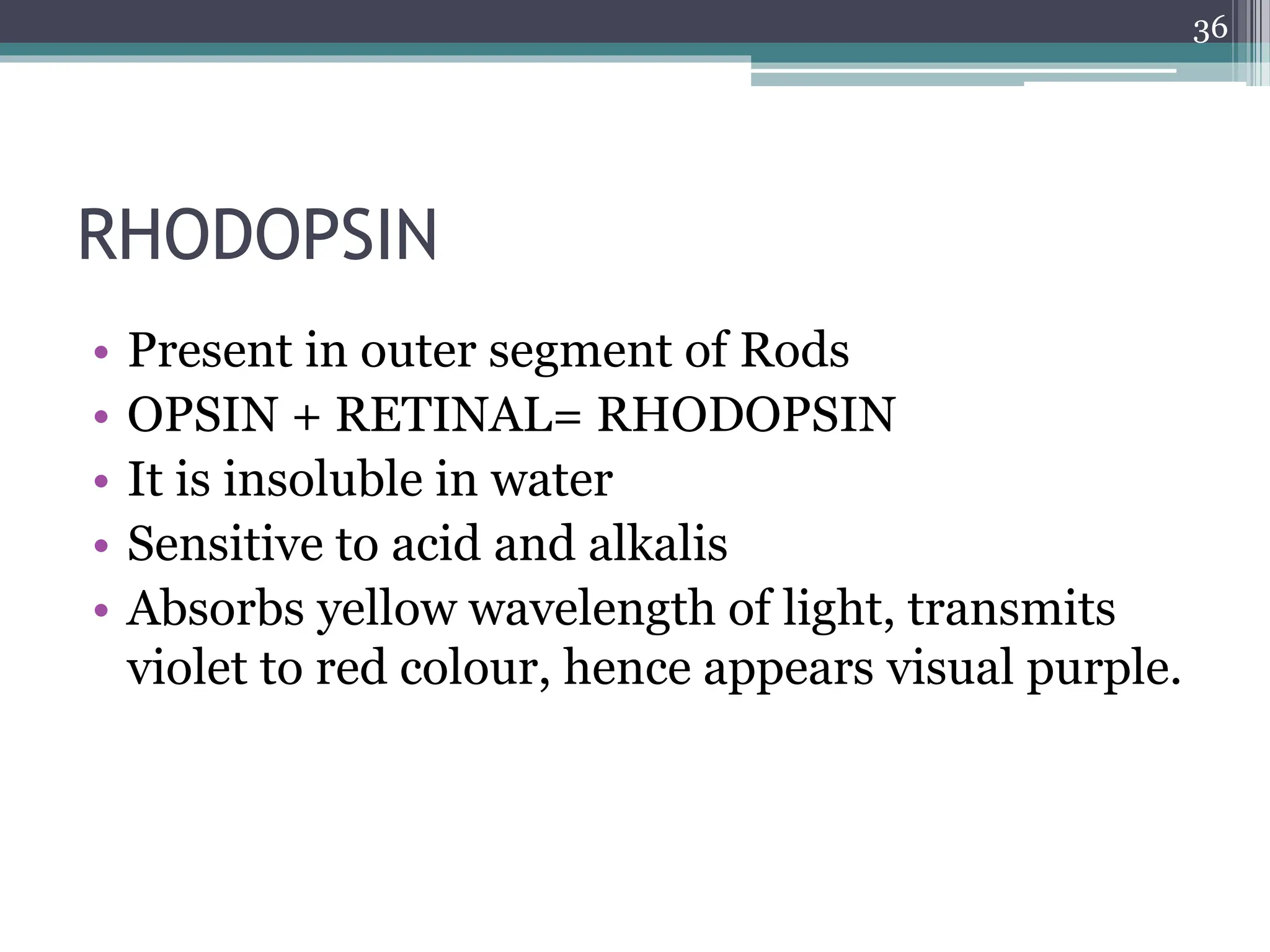 physiology of retina , retina physiology | PPTX