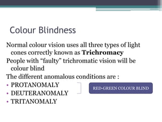 Trichromate physiology of retina , retina physiology | PPTX