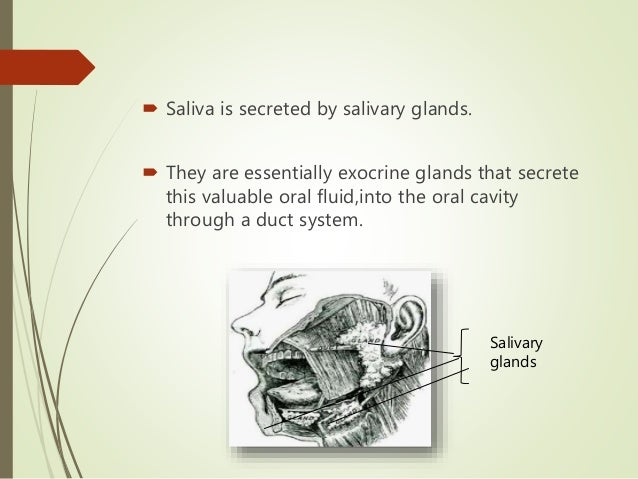 Physiology of saliva