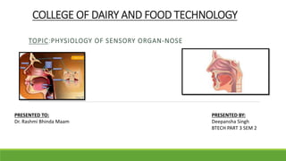 COLLEGE OF DAIRY AND FOOD TECHNOLOGY
TOPIC:PHYSIOLOGY OF SENSORY ORGAN-NOSE
PRESENTED TO:
Dr. Rashmi Bhinda Maam
PRESENTED BY:
Deepansha Singh
BTECH PART 3 SEM 2
 
