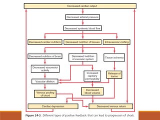 Shock Information.pdf Physiology of Shock.pdf