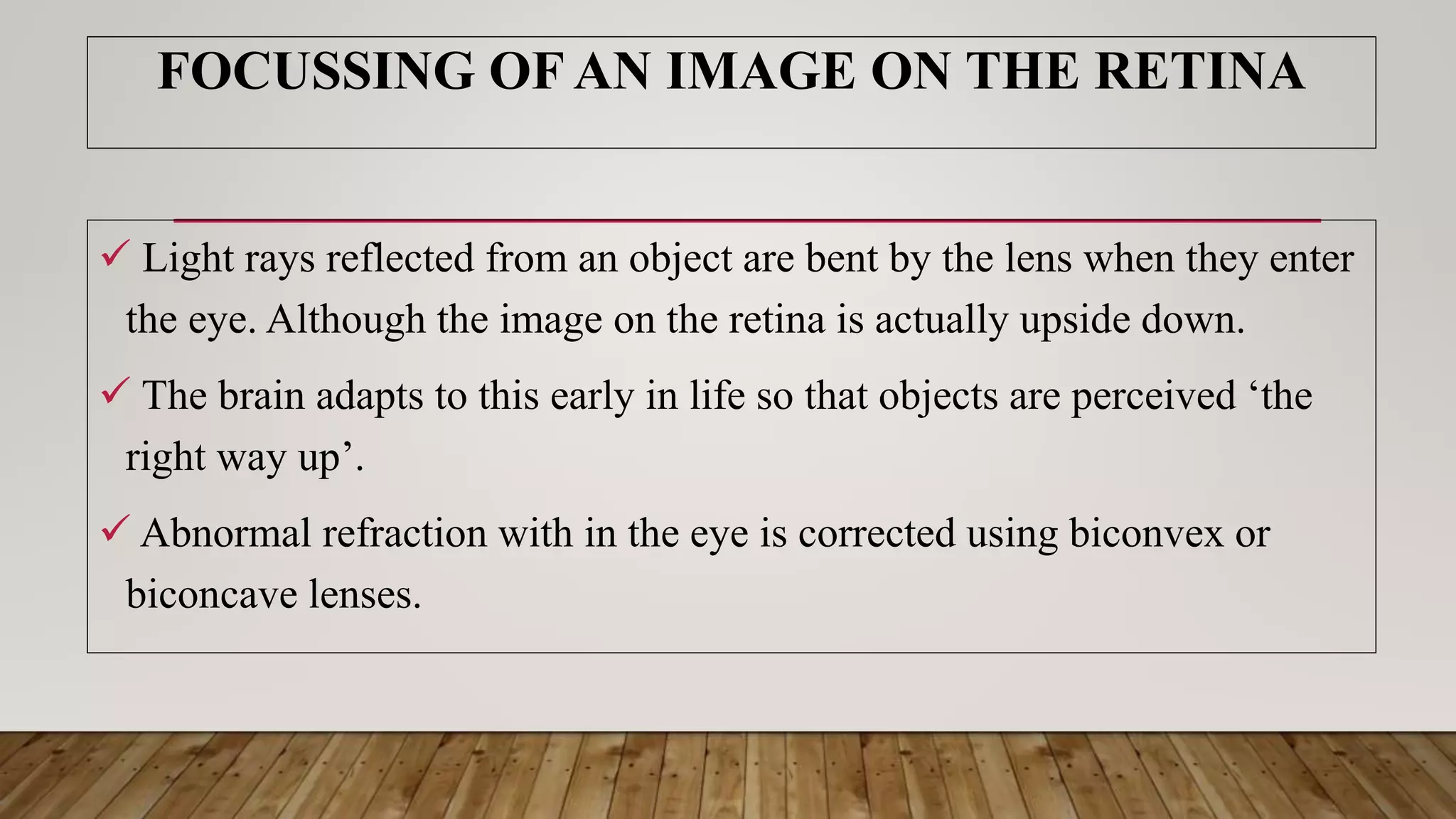 FOCUSSING OF AN IMAGE ON THE RETINA
 Light rays reflected from an object are bent by the lens when they enter
the eye. Although the image on the retina is actually upside down.
 The brain adapts to this early in life so that objects are perceived ‘the
right way up’.
 Abnormal refraction with in the eye is corrected using biconvex or
biconcave lenses.
 