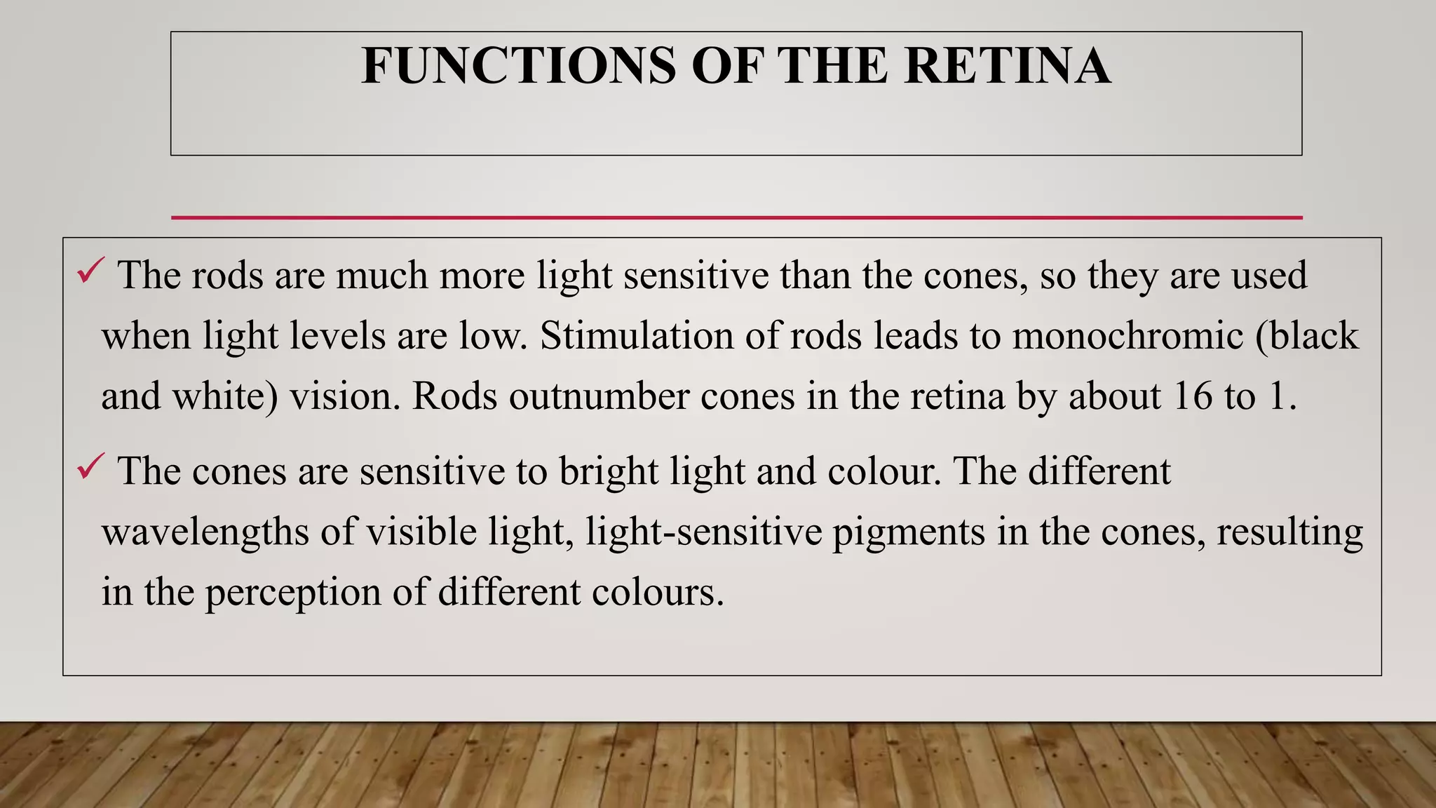  The rods are much more light sensitive than the cones, so they are used
when light levels are low. Stimulation of rods leads to monochromic (black
and white) vision. Rods outnumber cones in the retina by about 16 to 1.
 The cones are sensitive to bright light and colour. The different
wavelengths of visible light, light-sensitive pigments in the cones, resulting
in the perception of different colours.
FUNCTIONS OF THE RETINA
 