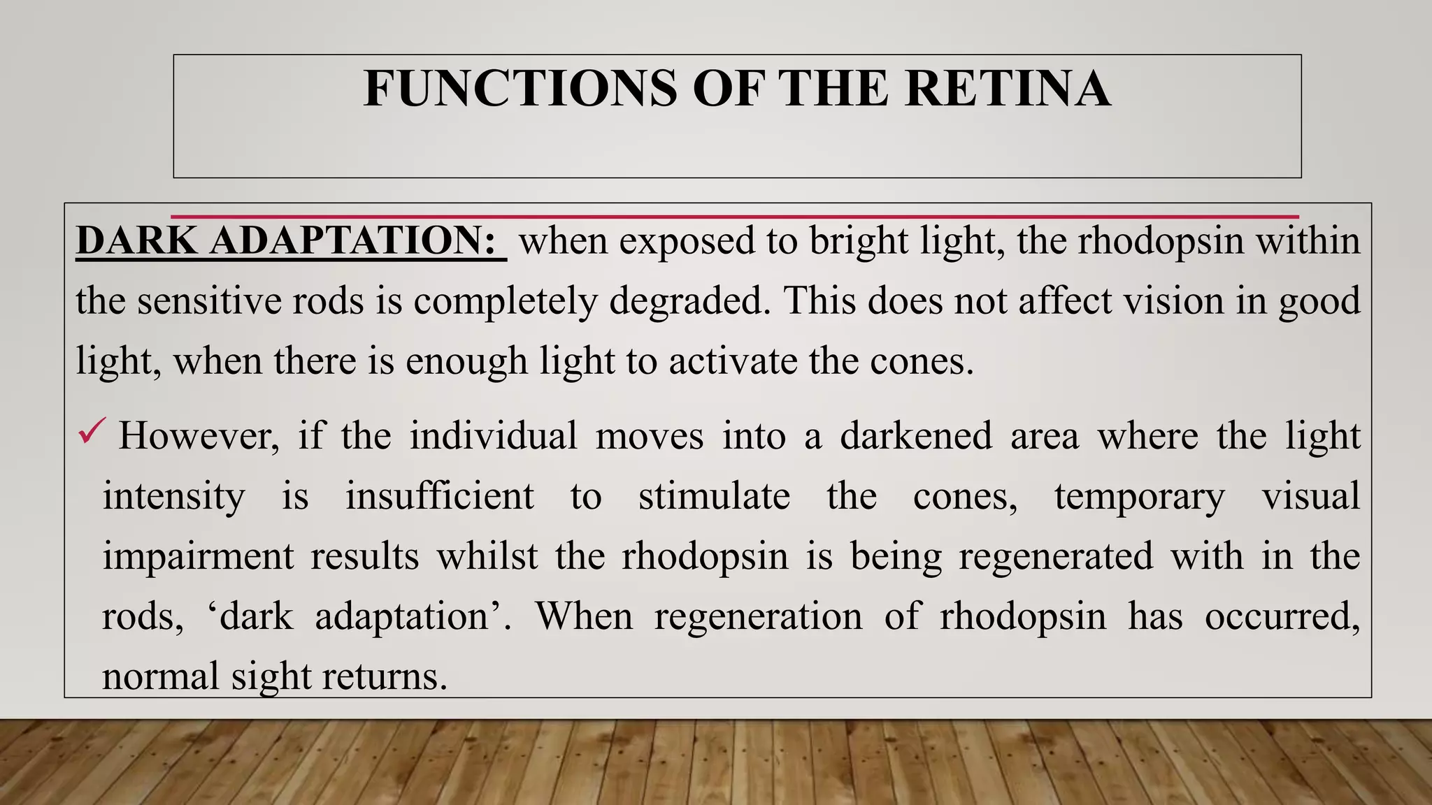 DARK ADAPTATION: when exposed to bright light, the rhodopsin within
the sensitive rods is completely degraded. This does not affect vision in good
light, when there is enough light to activate the cones.
 However, if the individual moves into a darkened area where the light
intensity is insufficient to stimulate the cones, temporary visual
impairment results whilst the rhodopsin is being regenerated with in the
rods, ‘dark adaptation’. When regeneration of rhodopsin has occurred,
normal sight returns.
FUNCTIONS OF THE RETINA
 