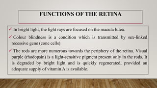Recessive Visual Physiology of sight | PPTX