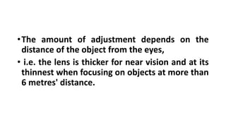 Physiology of sight and the eye | PPTX