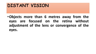 Distance Vision Close Vision Physiology of sight and the eye | PPTX