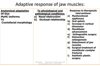 Physiology of skeletal muscle orthodontic considerations | PPTX
