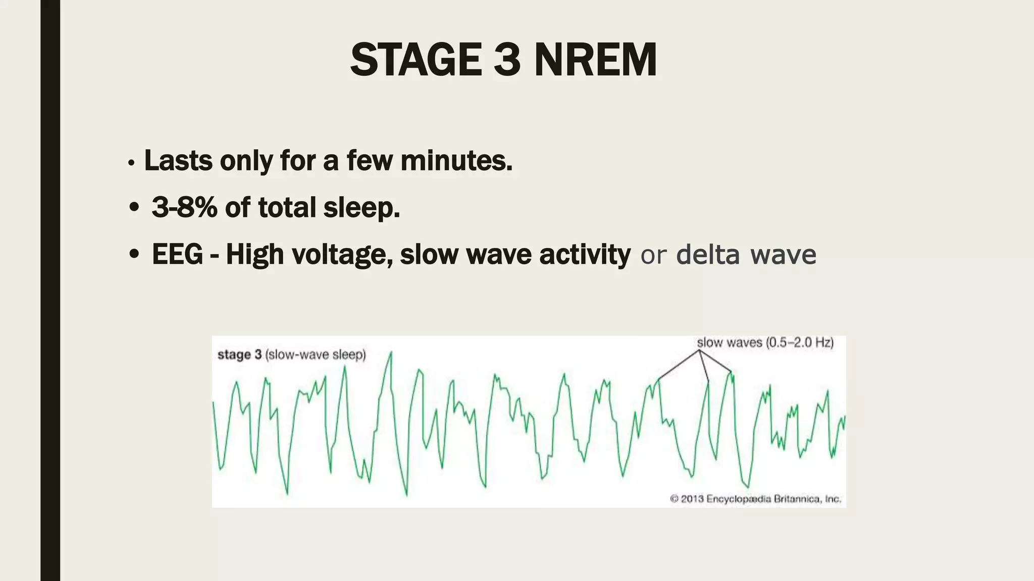 Physiology of sleep | PPTX