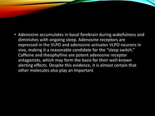 Physiology of sleep - medical information | PPTX