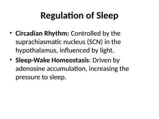 Physiology_of_Sleep.pptx clinical medicine and surgery 2nd year | PPT