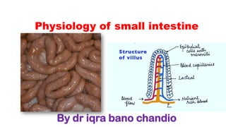 Physiology of small intestine
By dr iqra bano chandio
 