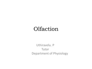 Olfaction
Uthiravelu. P
Tutor
Department of Physiology
 