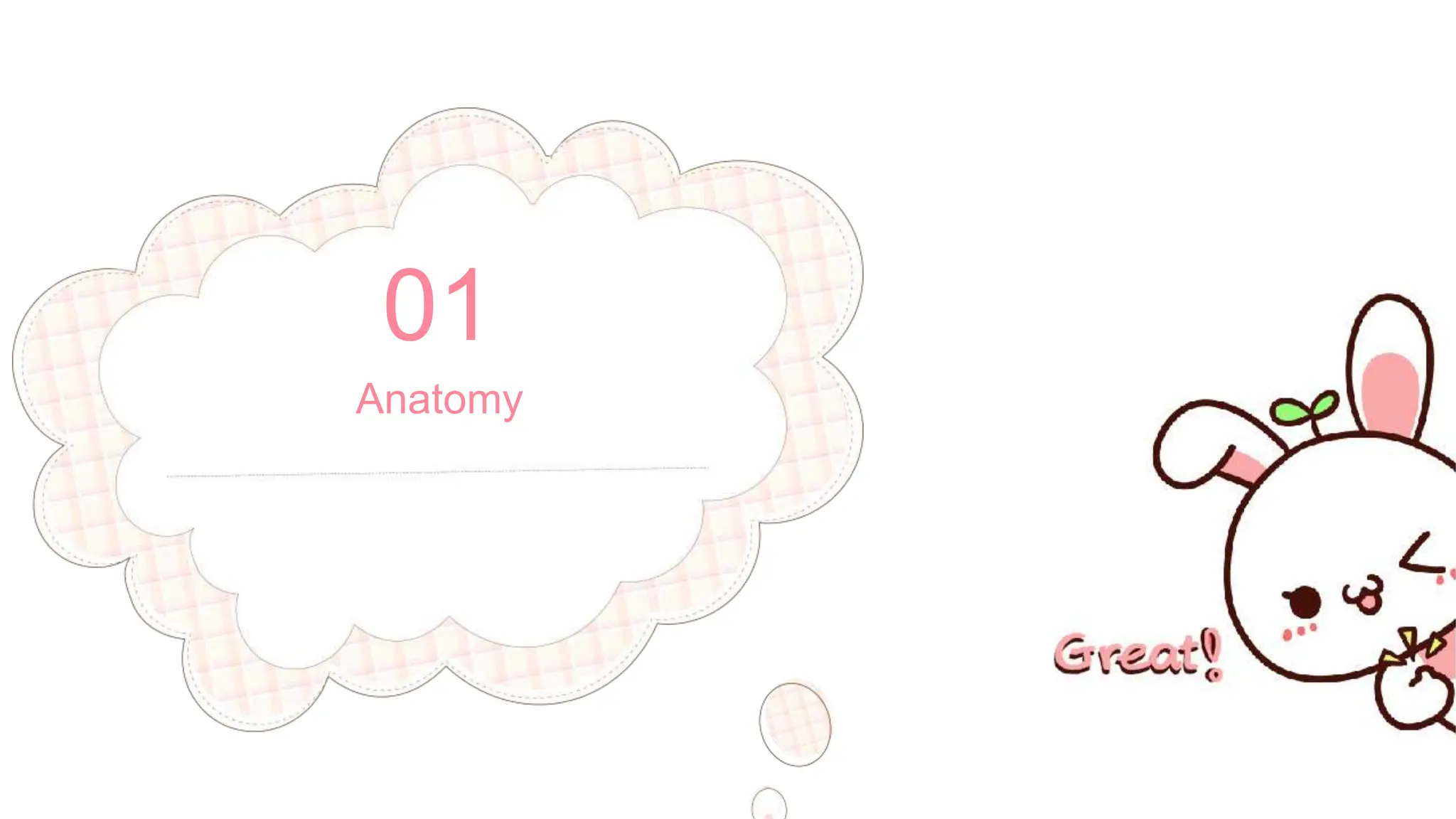 Physiology Of Smell 1 Pptx Pptx